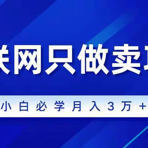 虚拟资源站招募合伙人，月利润3万以上，无需经验，全套教学