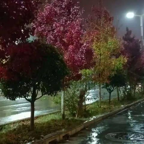 一夜雨声凉到梦