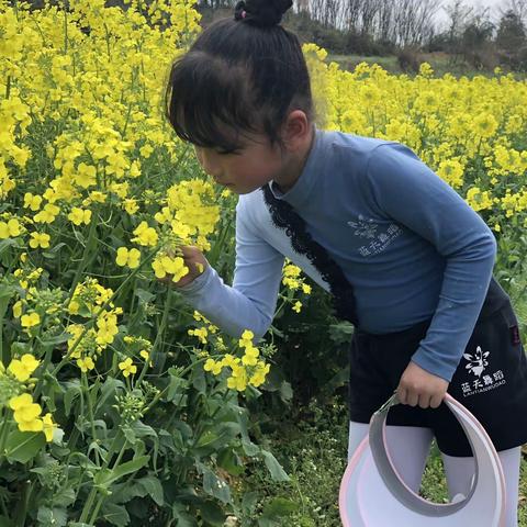 春暖花开的季节，拥抱大自然的风光…..