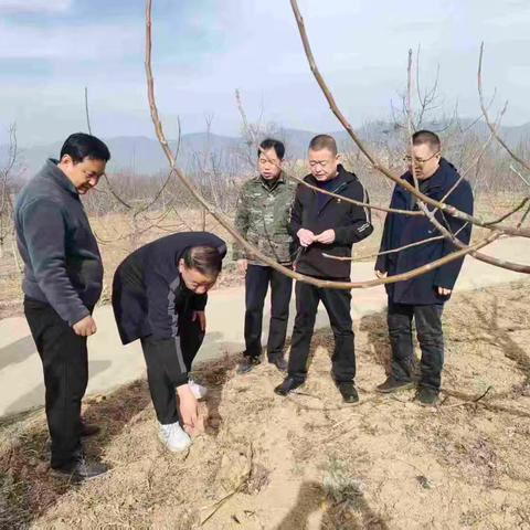 长治市规划和自然资源局 赴黎城县对接推进林下经济和森林防火重点工作