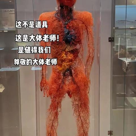 探秘生命奥秘，感悟生命真谛——初二/14班龚丽帆