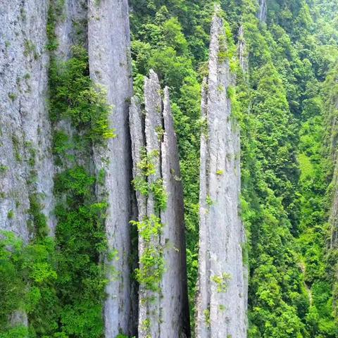 重庆♡ 恩施大峡谷♡三峡人家♡神农架♡大九湖♡武隆天坑♡土家十三寨♡ 奢华9日休闲游 2380元/人