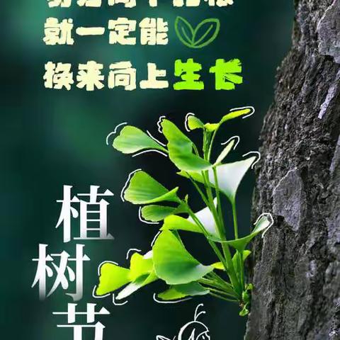 【践行党的二十大岗位大练兵】拥抱春天，“植”此青绿——许家庄小学开展植树节系列活动
