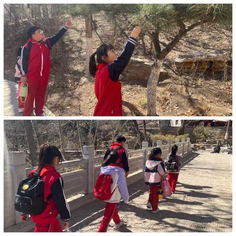 【经开许小】踏春寻绿，不负春光——许家庄小学开展春游踏青活动