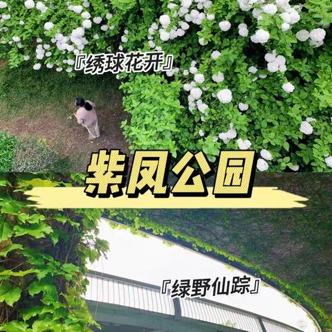 这个春天长沙火出圈的 “小”公园
