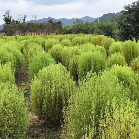 台州飞龙湖之旅