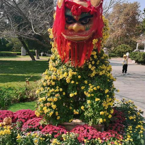 今天上午晴高气爽，姐妹四人去青岛中山公园赏花游玩，太尽兴了。