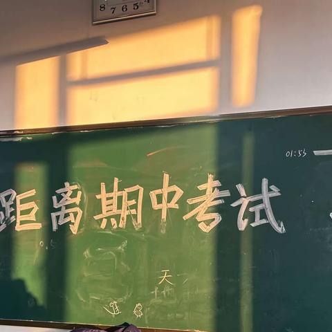 反思中前行，精进教学