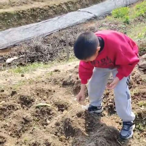 古市小学104孟俊屹