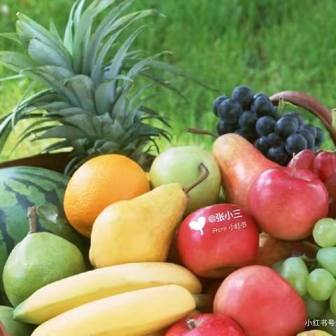 Fruit Kingdom