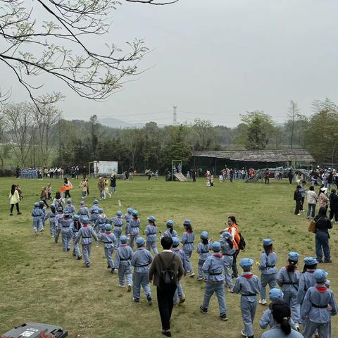 南苑小学208班蚕乐谷研学之旅