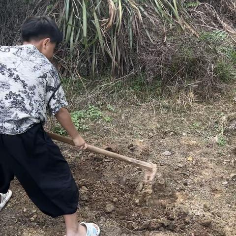 趣味播种 四年五班   林佳泽