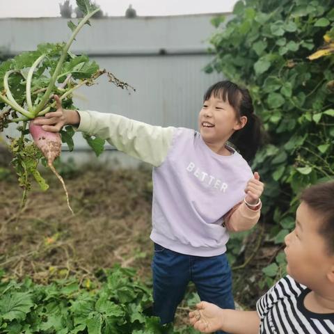 丰收的喜悦
