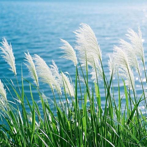 5EF《水浒传》优秀读后感