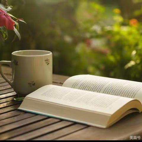 望岳雅集中级班作业（二）