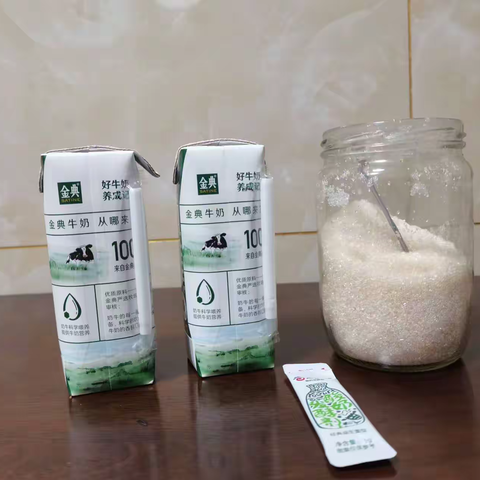 酸奶制作方法（N220629）