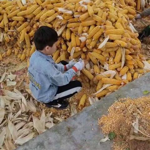 假期生活