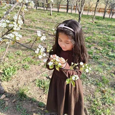 "清明时节去踏青"——阜东小学一年级清明节活动