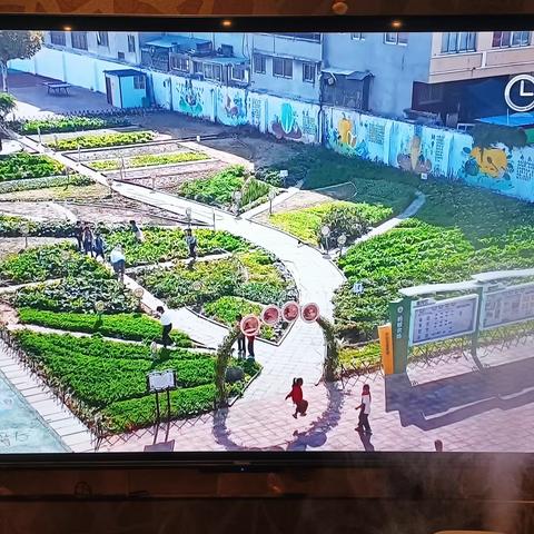 我劳动我骄傲——劳动美丰收乐记东沙河小学一年级九班蚂蚁农场趣事