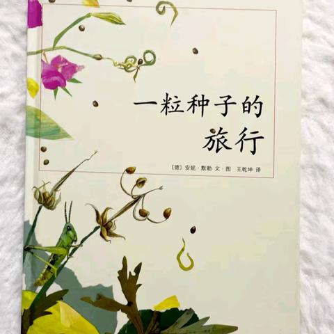 读好时光，童话润童年一一一东沙河街道东沙河小学一年级《一粒种子的旅行》整本书阅读活动展示