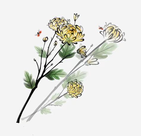 秋菊一瓣寄相思 ——父亲逝世纪念集