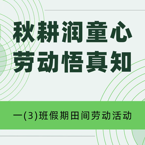 秋耕润童心 劳动悟真知——一(3)班假期田间劳动活动