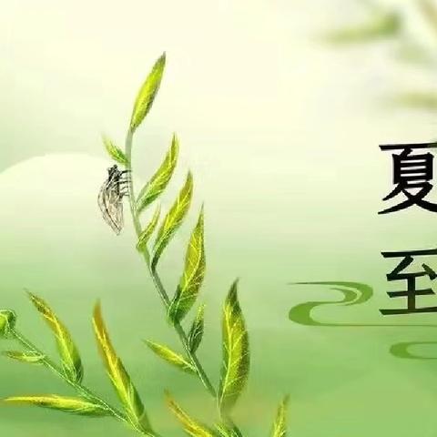 “夏至已至，万物向阳”二十四节气——夏至