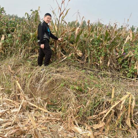 【附中学子这样过国庆】劳动使我成长——忻州师范学院附属中学二十六班张子涵2023年国庆假期实践活动小记