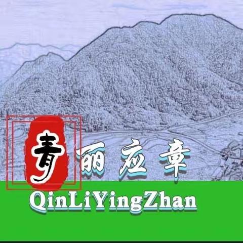 “祯”民宿，遇上应章