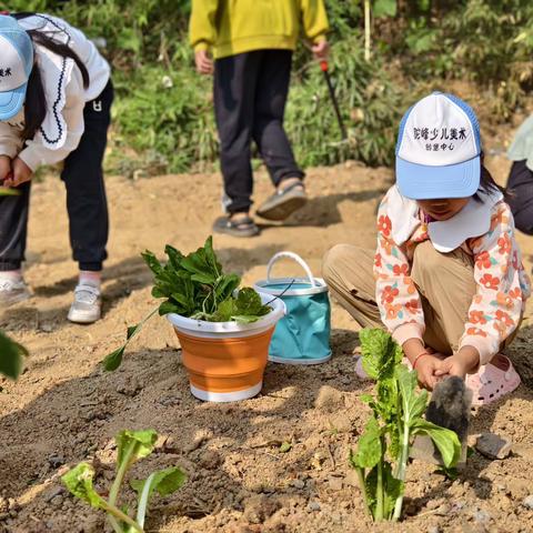 拓峰艺术2024年“五一”恒业农庄种植写生活动