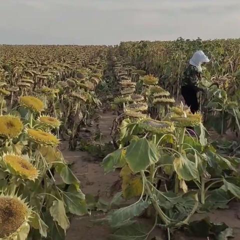 国庆节，劳动日，快乐的假期