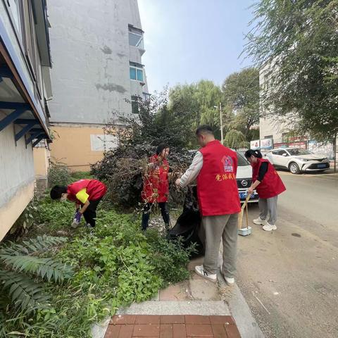 全民参与、城市更美丽—清泉社区清洁沈阳行动