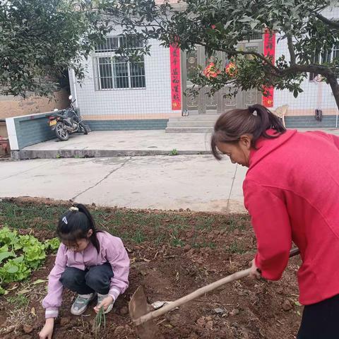 多一片绿色，多一片温馨