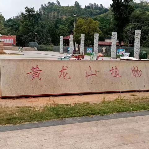 临武县——黄龙山植物园