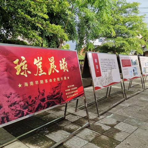 灵山镇东和村：开展“琼崖晨曦”海南早期革命文化图片展暨主题党日活动