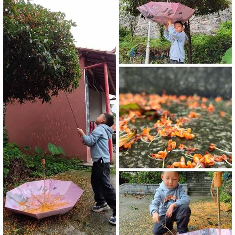 金秋十月，连绵的阴雨天气，阻断不了我的劳动热情，我是一(2) 班龙相廷，中秋碰国庆双节快乐！！！