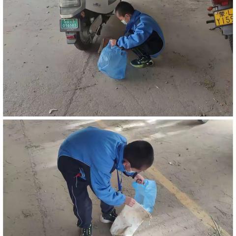 阳光德育