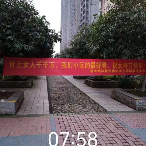 2024年3月物业服务简报