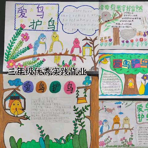 暑期优秀作业展示：学科与实践的成长足迹