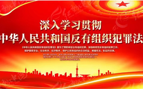 仁沙镇中学学习宣传《中华人民共和国反有组织犯罪法》