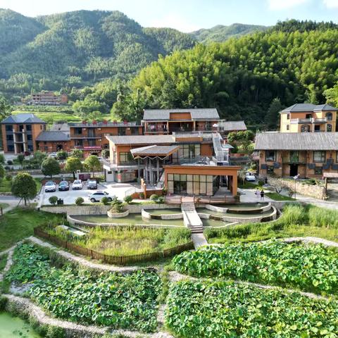 畅玩缤纷夏日，共筑团队辉煌 ——记检验科、遗传实验室联合团建活动