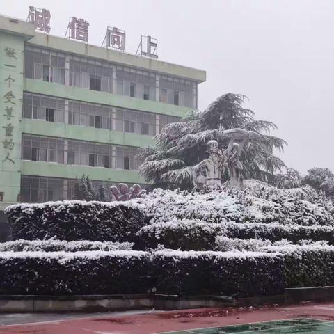 【“三比三争”践行动】温情融积雪，爱意溢满园——丰城四中铲雪除冰在行动