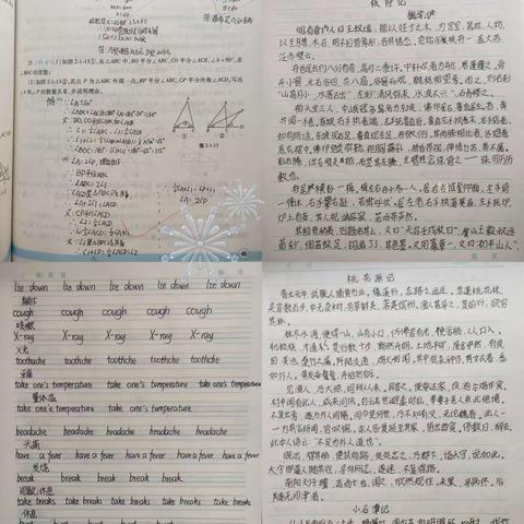 城关一中八年级九班弓官妮  寒假实践活动作品展示