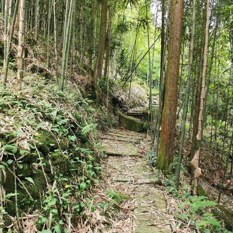 登山游记