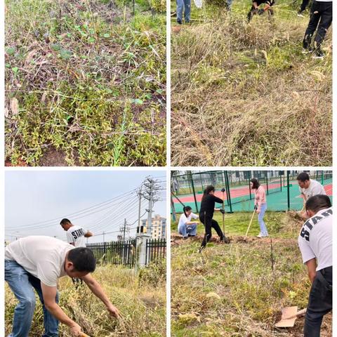 【开心农场，快乐起航】田园劳动实践活动