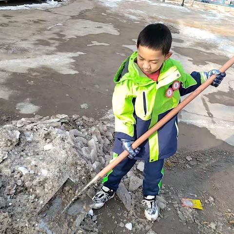 南园街小学二年级三班任子逸寒假实践活动