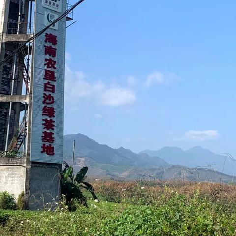 风情海南岛，环岛随我行 ——我是海南小导游之海口篇 海口市五源河学校七年级3班                                吴梦婷作品