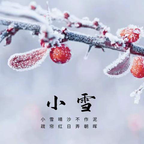 【从台区一幼•二十四节气】小雪至 冬渐深 主题活动