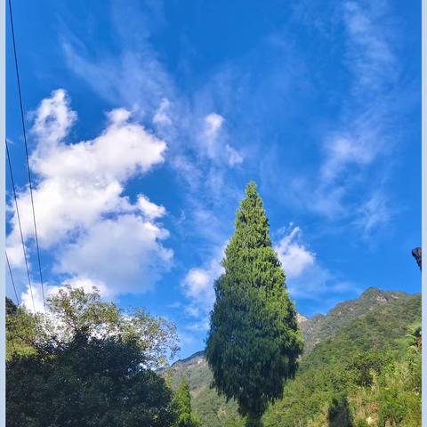 国庆假期去农村游玩是一个非常棒的选择!可以避开城市的人山人海，体验宁静的田园风光，品尝地道的农家美食。
