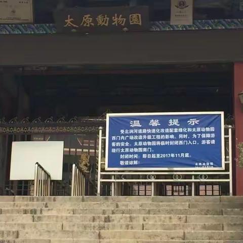 【附中学子这样过国庆 】———忻州师范学院附属外国语中学初373班许恩慧国庆假期实践活动小记